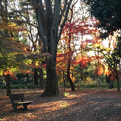 Jindaiji Temple
